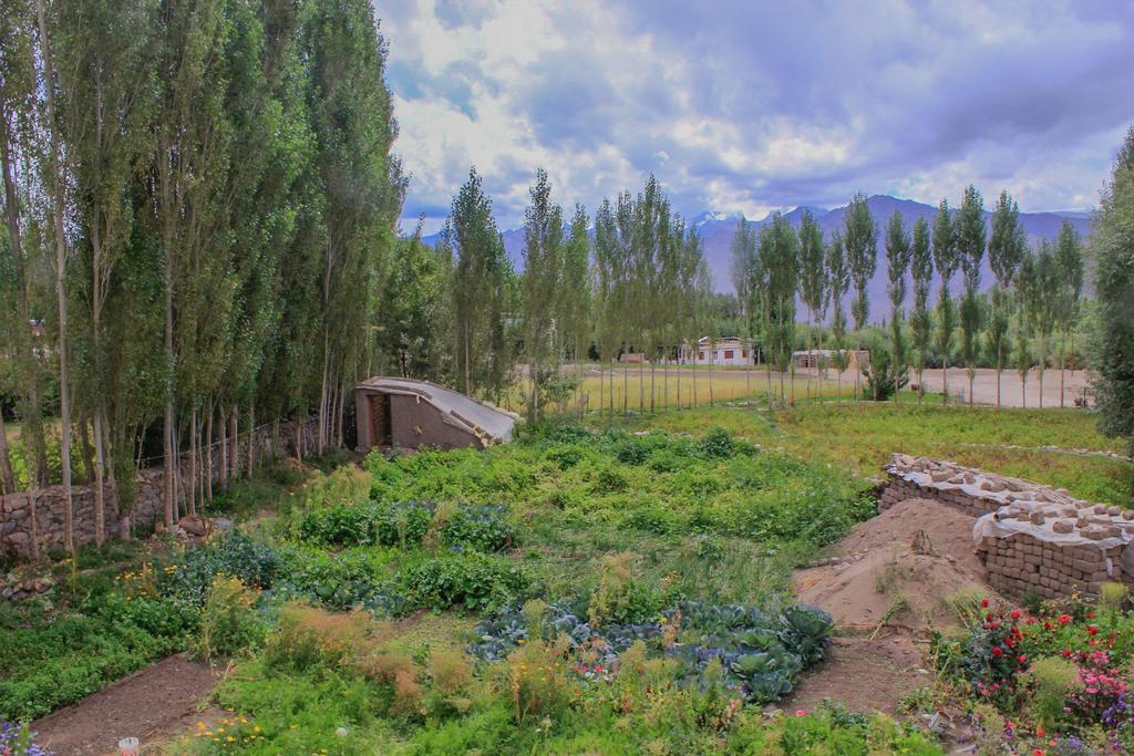 Tsetan Guest House Léh Exteriér fotografie
