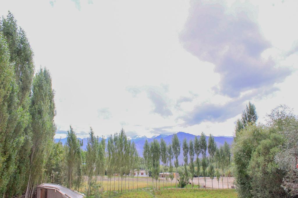Tsetan Guest House Léh Exteriér fotografie